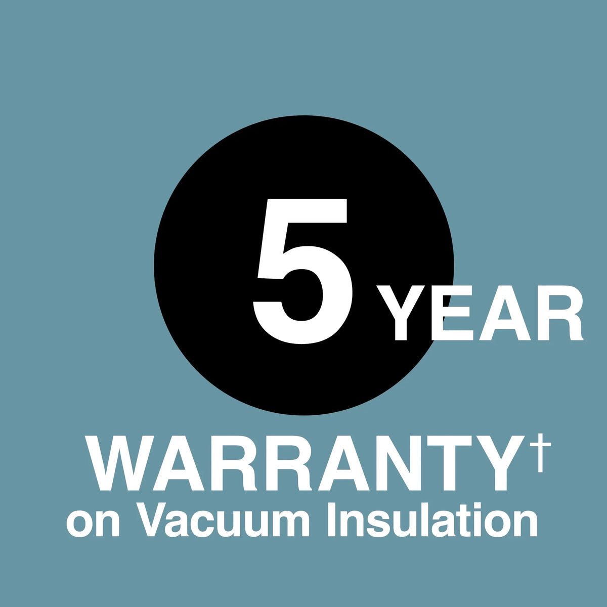 20 oz. Stainless Mug SM-VA60